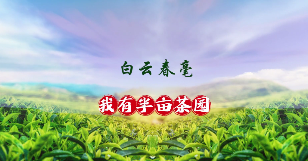 轮播视频