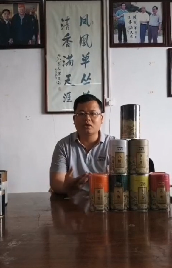 凤凰单丛茶