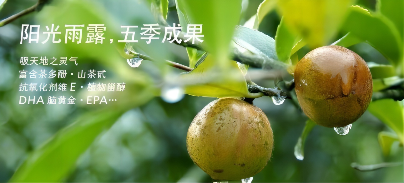 轮播视频